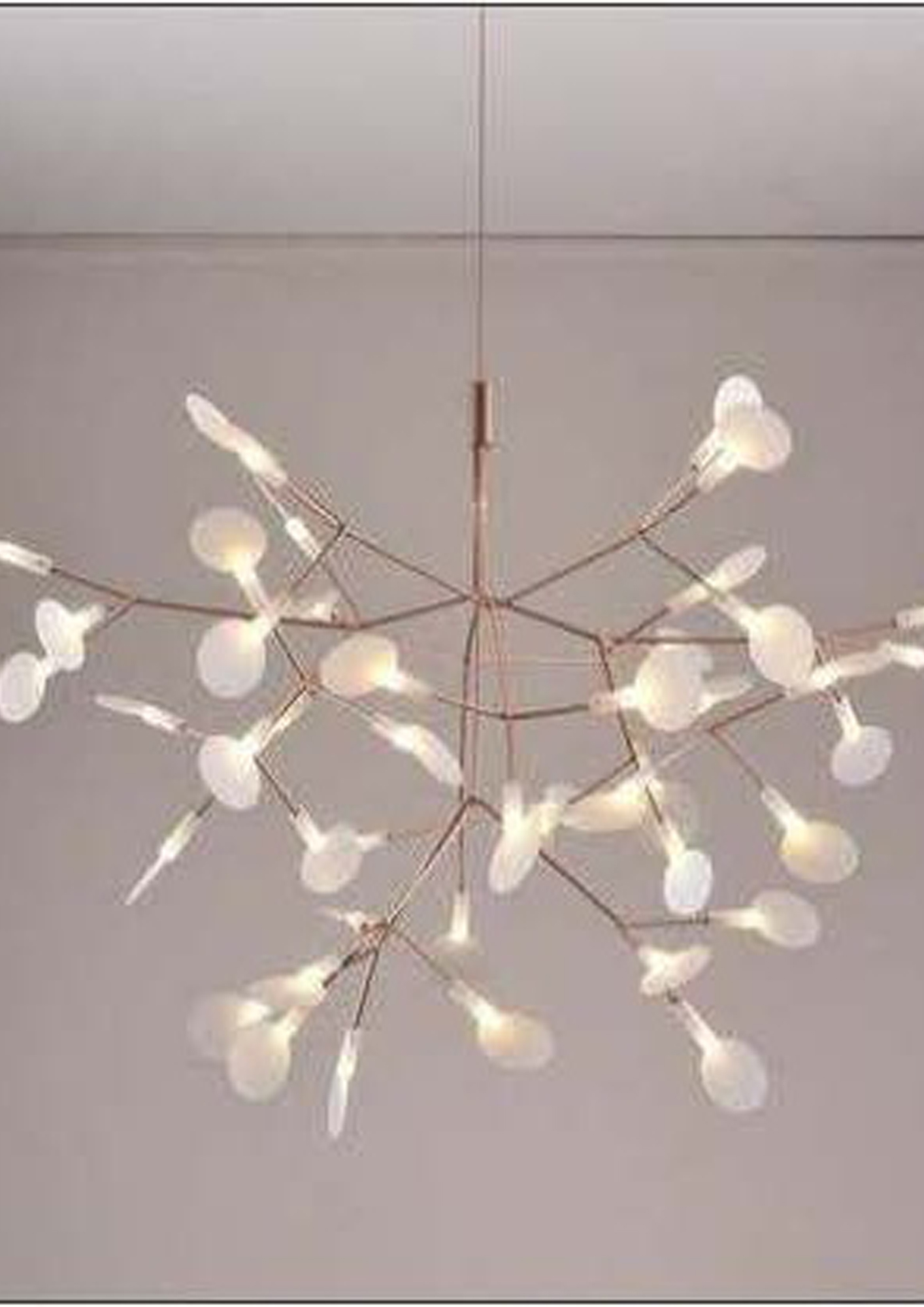 Beyond Lights - Branch Pendant Light- GL